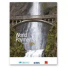 World Payments Report 2011
