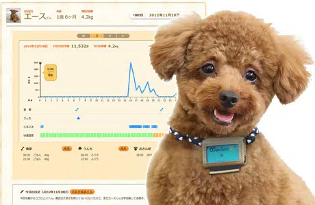 Fujitsu's Wandant dog pedometer reports to a web dashboard via NFC
