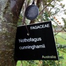 A weather-resistant NFC tag hangs from a tree