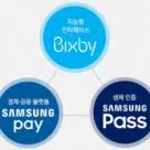 Samsung Pay Bixby