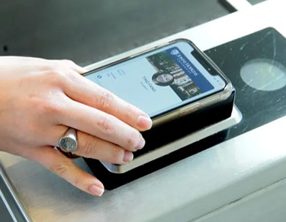 Hand with smartphone scanning