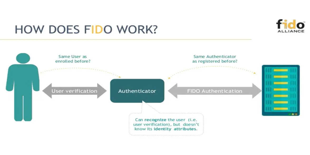 Fido Alliance How does Fido work infographic