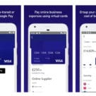 Visa Commercial Pay app screenshot