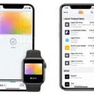 Apple NFC iphones and a Apple Watch