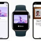 Apple Wallet on iPhone and Watch showing digital IDs