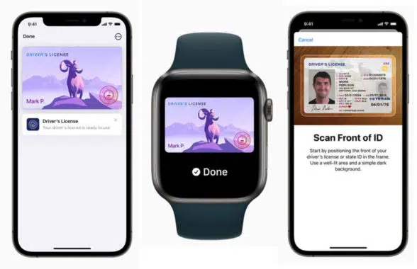 Apple Wallet on iPhone and Watch showing digital IDs
