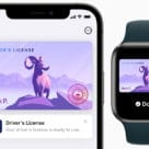 Apple Wallet with digital ID on iPhone and Apple Watch