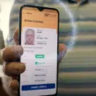 Hand holding phone with Queensland digital driving licence