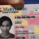 Maryland physical identity card