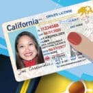 California driving licence